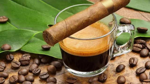 Miami en octubre 2025: el mes 10 para disfrutar de eventos, turismo y negocios en la capital de anglolatina