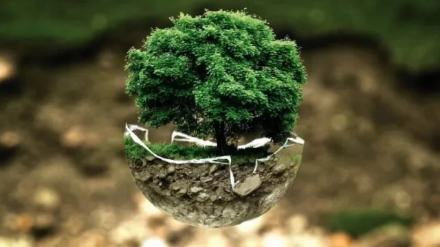 El precio de la prisa: el auge de la inversión verde frente al déficit de resultados reales