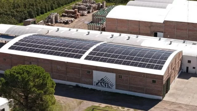 Austrade apuesta a la energía solar en Río Negro y avanza hacia un modelo productivo más sustentable