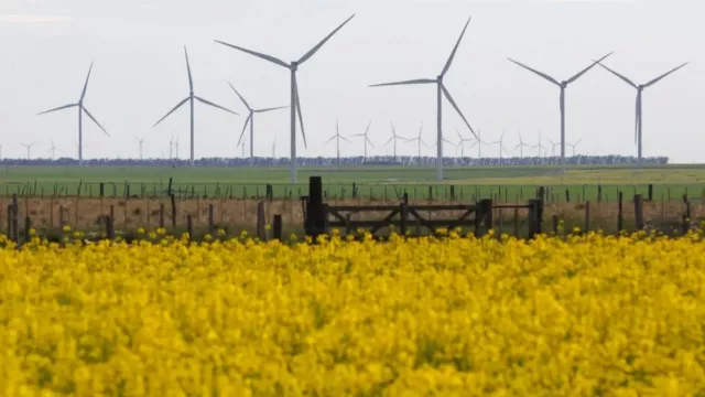 La energía renovable impulsa el crecimiento de Bahía Blanca como nodo energético estratégico