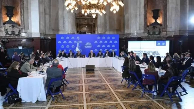 El Senado continuó el debate del Súper RIGI con foco en minería, industria y energía